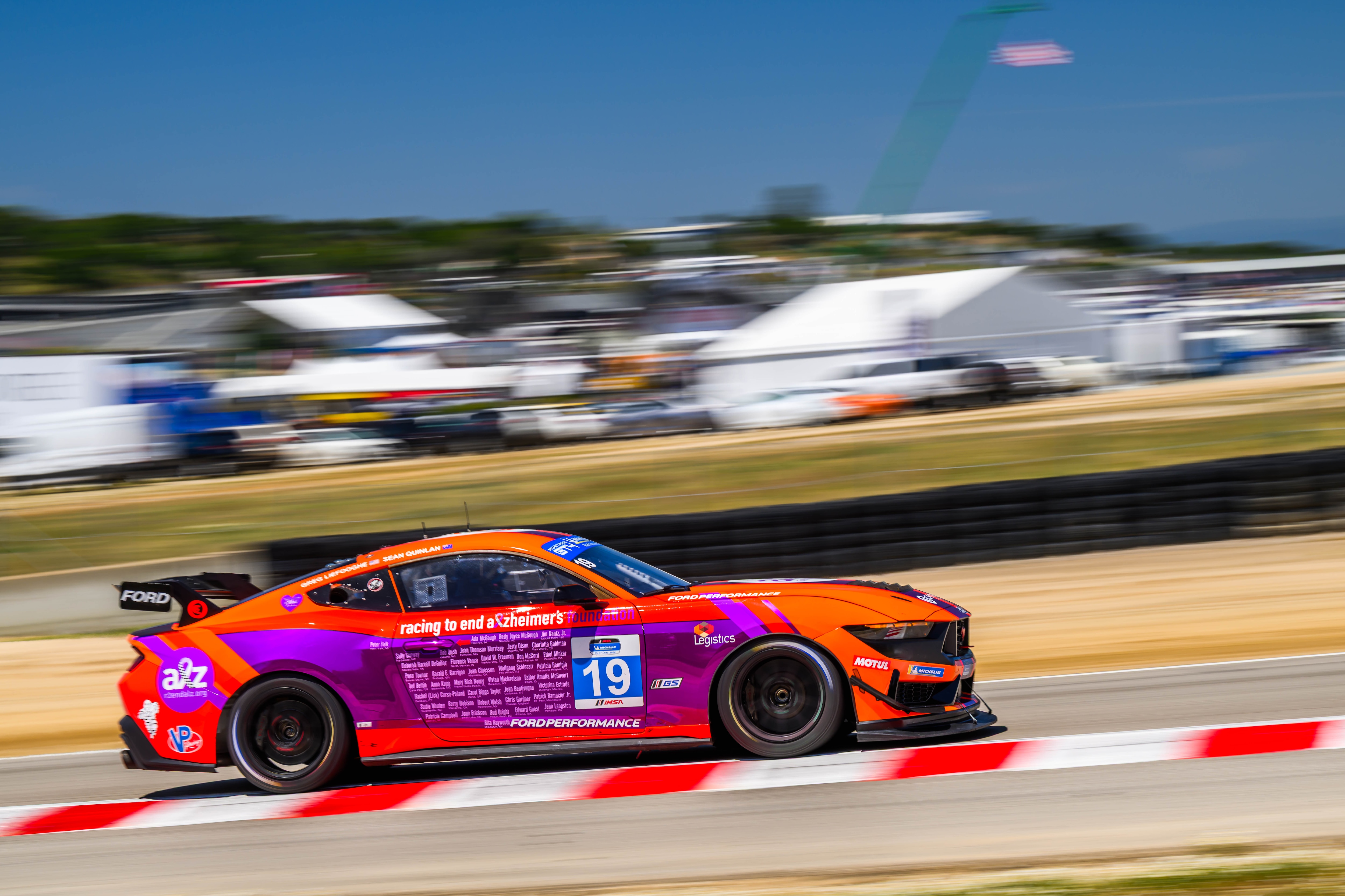 Mustang on the track