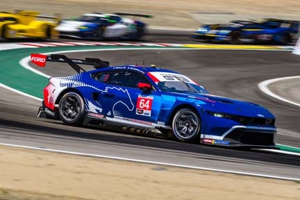 Mustang on the track