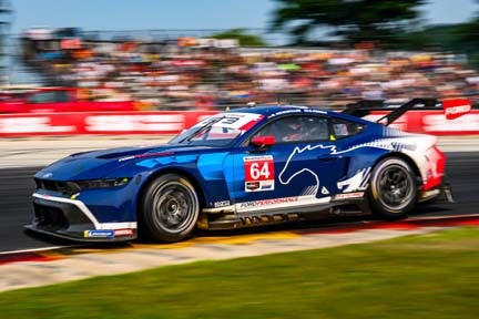 Mustang on the track