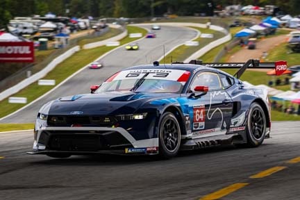 Mustang on the track