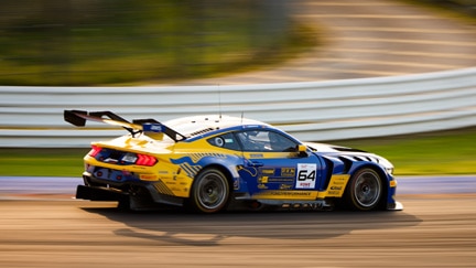 Mustang on the track