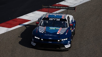 Mustang on the track