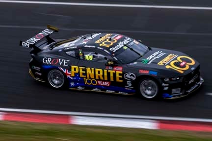 Mustang on the track
