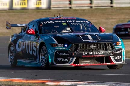 Mustang on the track