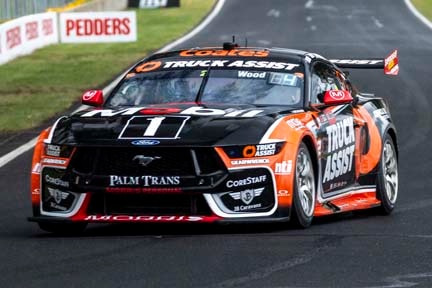 Mustang on the track