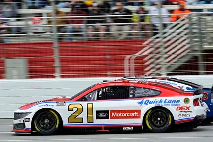 Mustang on the track