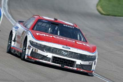 Mustang on the track