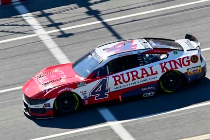 Mustang on the track