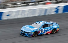 Mustang on the track