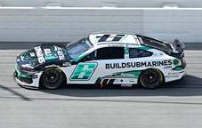 Mustang on the track