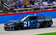 Mustang on the track