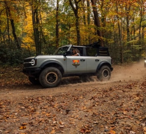 Bronco on dirt path