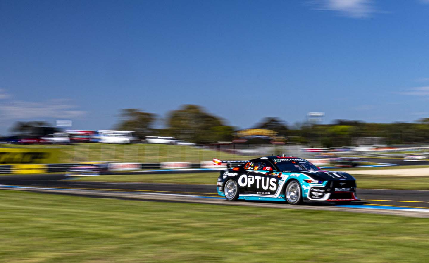 Mustang on the track