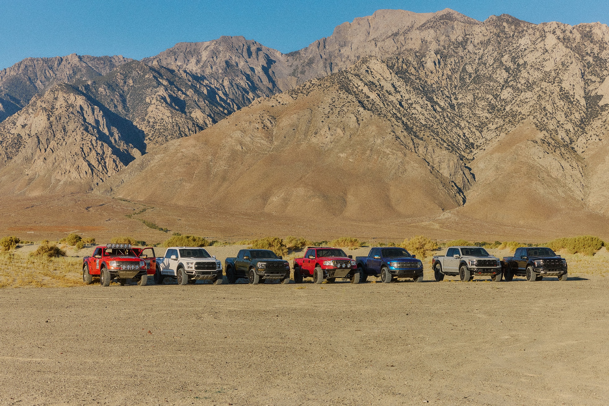 Seven Ford Raptor lined up in the desert