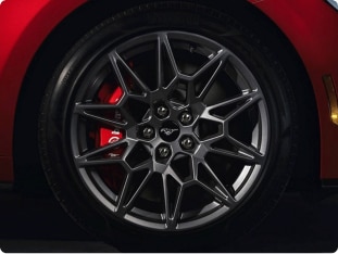 Close-up of motor wheel, mag and cap