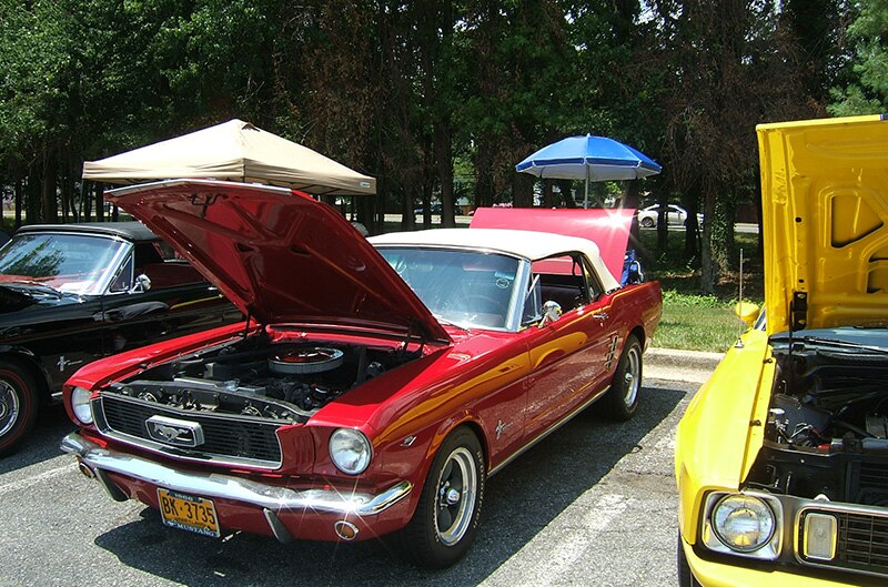 NCRMC Club Show