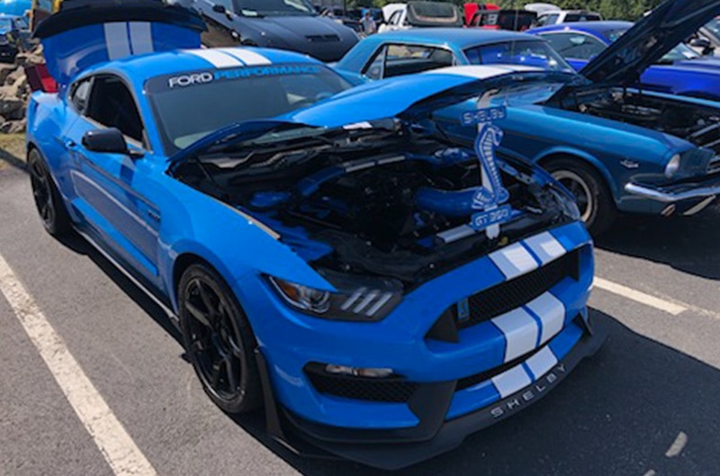 Mustang Club at Shultz Ford