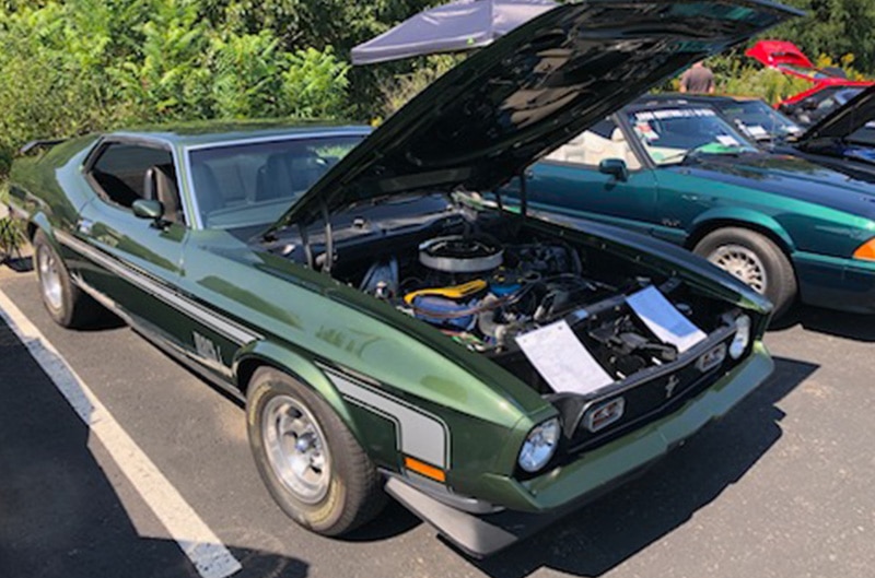 Mustang Club at Shultz Ford