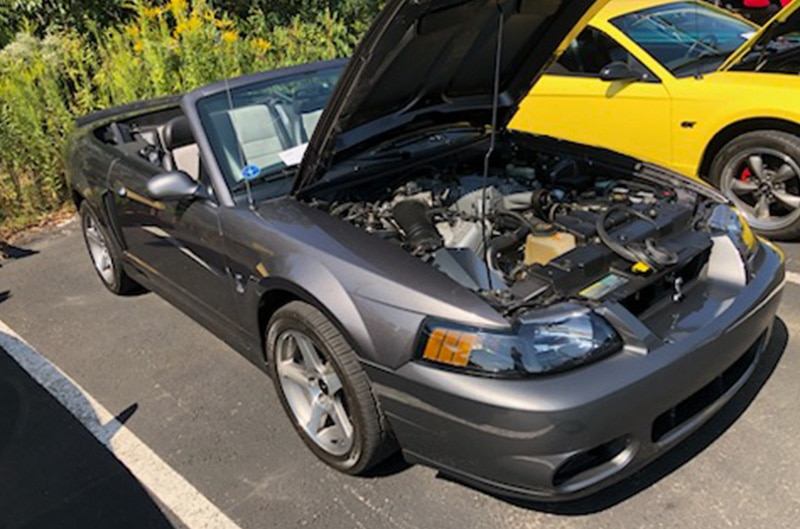 Mustang Club at Shultz Ford