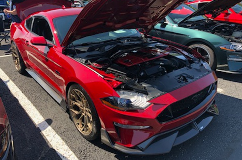 Mustang Club at Shultz Ford