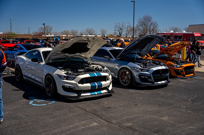 mustangs on display at show