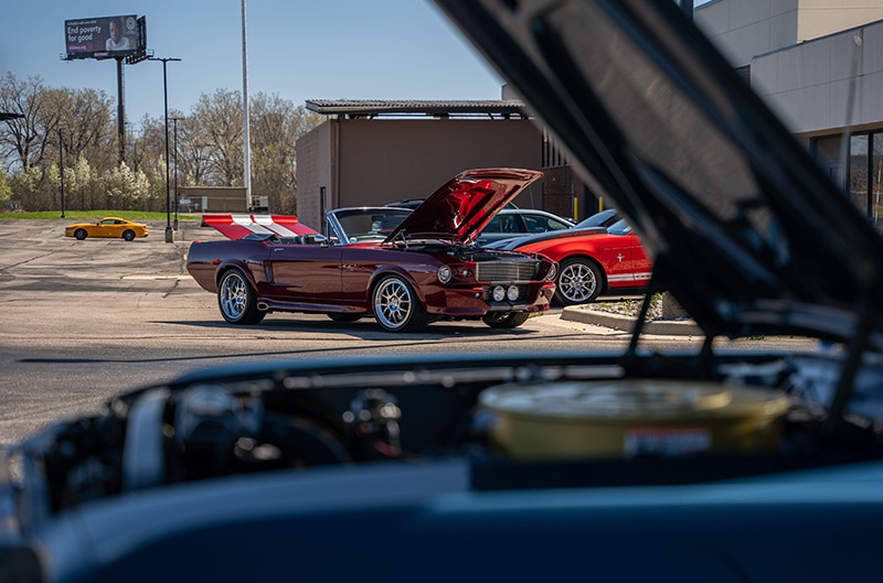 mustangs on display in lot