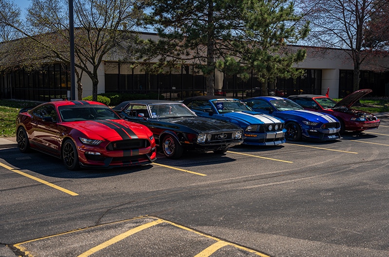 Mustangs parked in lot