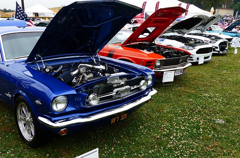 Mustangs lined up at Car Show