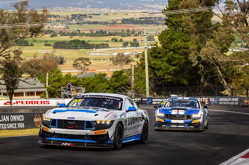 Duo of Mustang GT4s on track